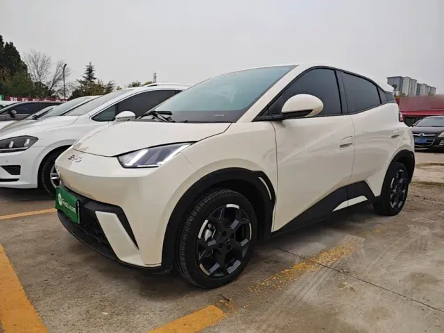 Фотография автомобиля — BYD Seagull