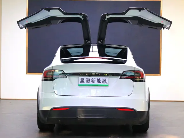 Tesla Model X — Фото автомобиля 18