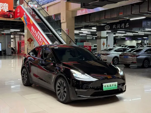 Tesla Model Y — Фото автомобиля 3