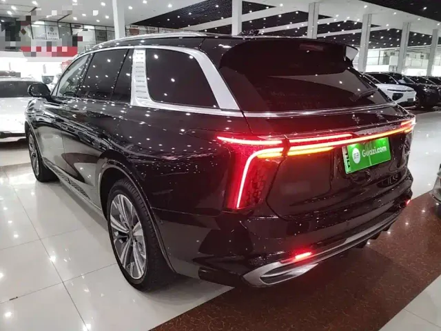 Hongqi E-HS9 — Фото автомобиля 4