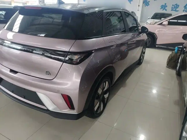 BYD Dolphin — Фото автомобиля 7