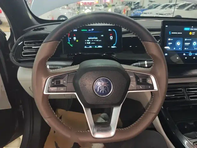 BYD Qin PLUS — Фото автомобиля 10