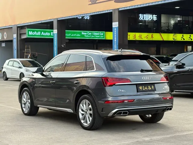 Audi Q5L — Фото автомобиля 19