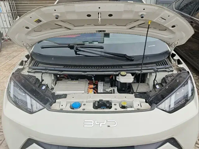 BYD Seagull — Фото автомобиля 15