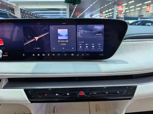 Buick GL8 — Фото автомобиля 10