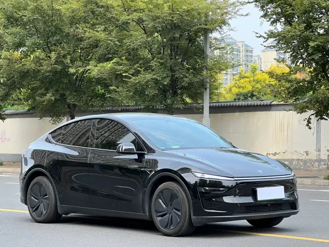 Tesla Model Y — Фото автомобиля 3