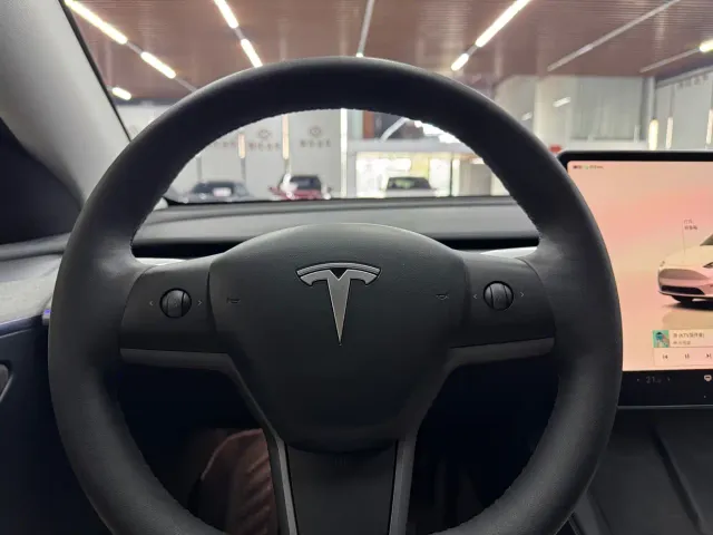 Tesla Model Y — Фото автомобиля 9