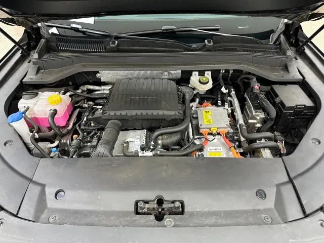 Chery Fulwin T9 — Фото автомобиля 30