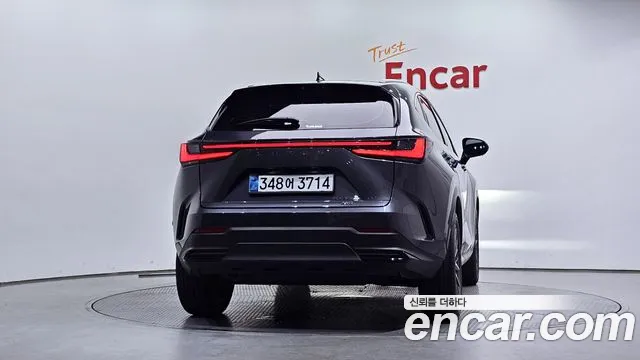 Lexus NX — Фото автомобиля 4