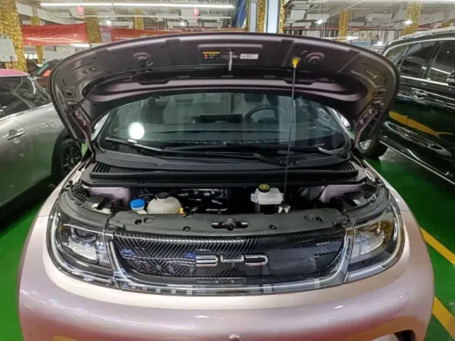 BYD Dolphin — Фото автомобиля 19