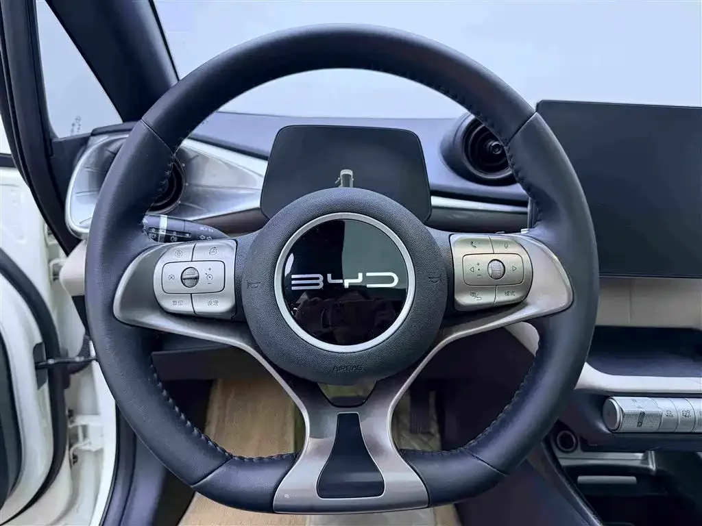 BYD Dolphin 2024 Glory Edition 420km Fashion Edition — Фото автомобиля 18