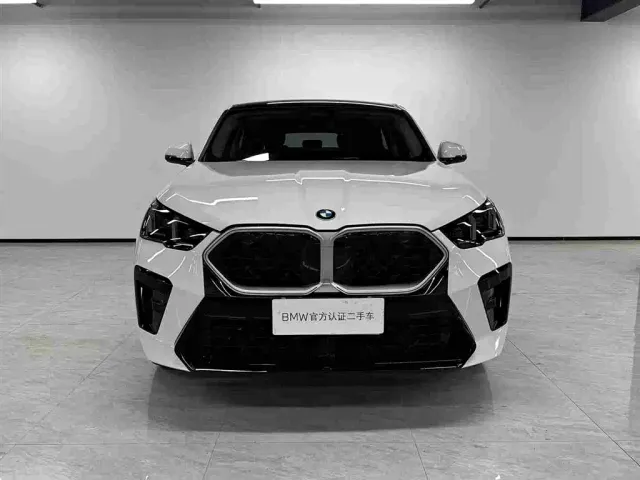 BMW X2 — Фото автомобиля 2