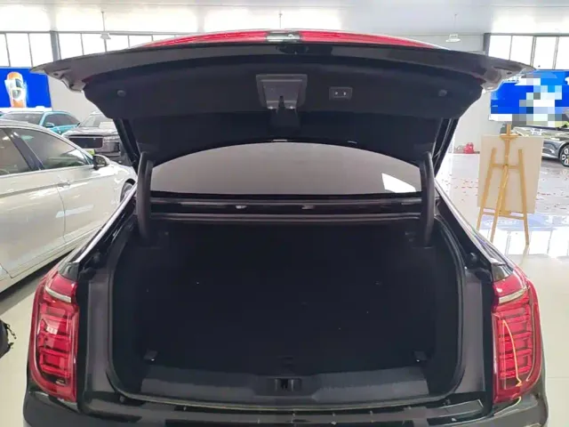Hongqi H9 — Фото автомобиля 18