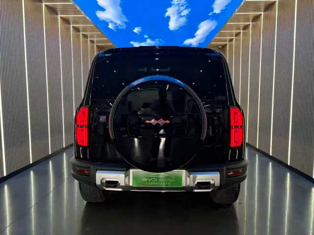 BYD FangChengBao Leopard 5 — Фото автомобиля 19