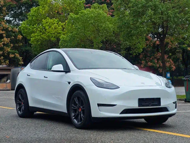 Tesla Model Y — Фото автомобиля 2