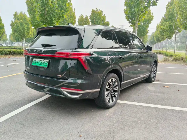 WEY Wey Lanshan 2023 2WD Long Range Edition — Фото автомобиля 16