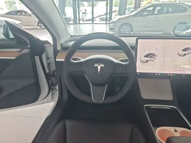 Tesla Model 3 — Фото автомобиля 10
