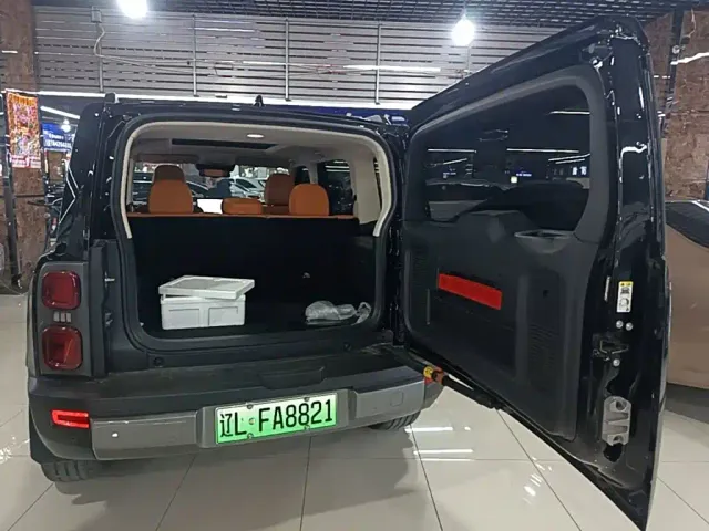 Haval Raptor — Фото автомобиля 18