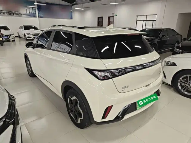 BYD Dolphin — Фото автомобиля 4