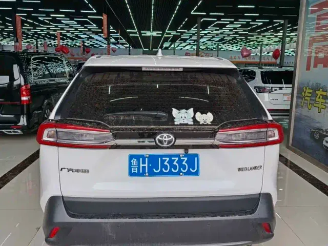 Toyota Wildlander — Фото автомобиля 9