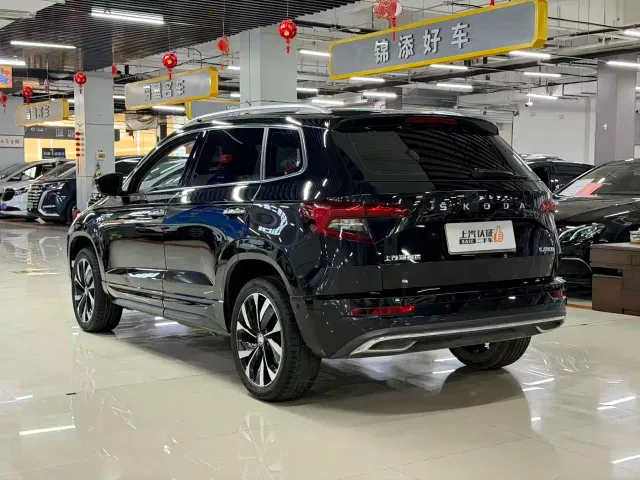 Skoda Karoq — Фото автомобиля 8