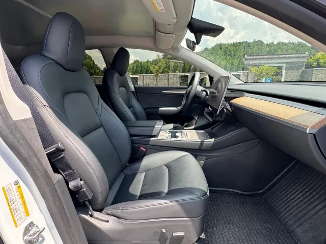 Tesla Model Y — Фото автомобиля 9