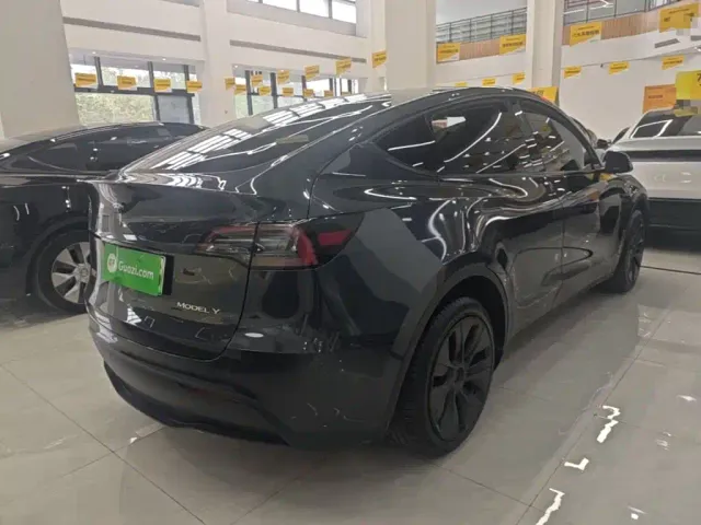 Tesla Model Y — Фото автомобиля 6