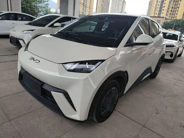 Фотография автомобиля — BYD Seagull