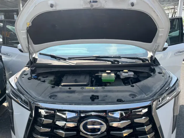 GAC Trumpchi Xiangwang M8 — Фото автомобиля 25