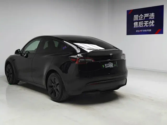 Tesla Model Y — Фото автомобиля 6