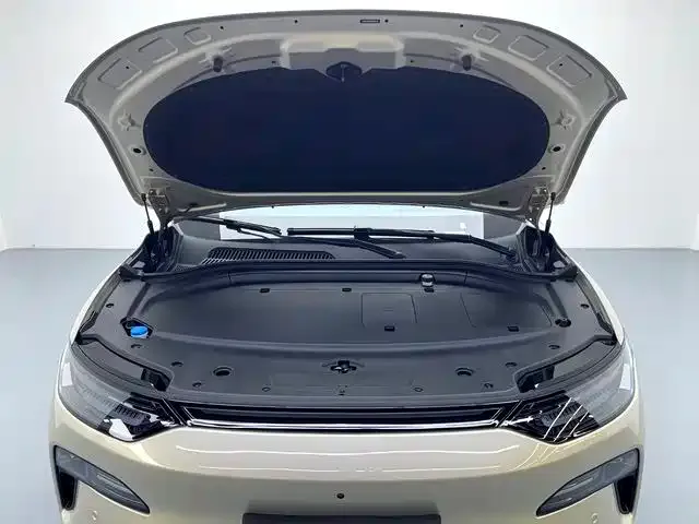 Leapmotor C11 — Фото автомобиля 15