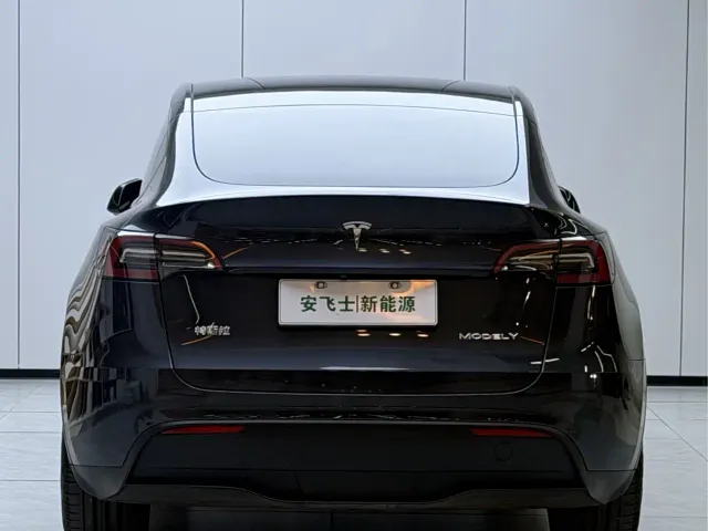 Tesla Model Y — Фото автомобиля 14