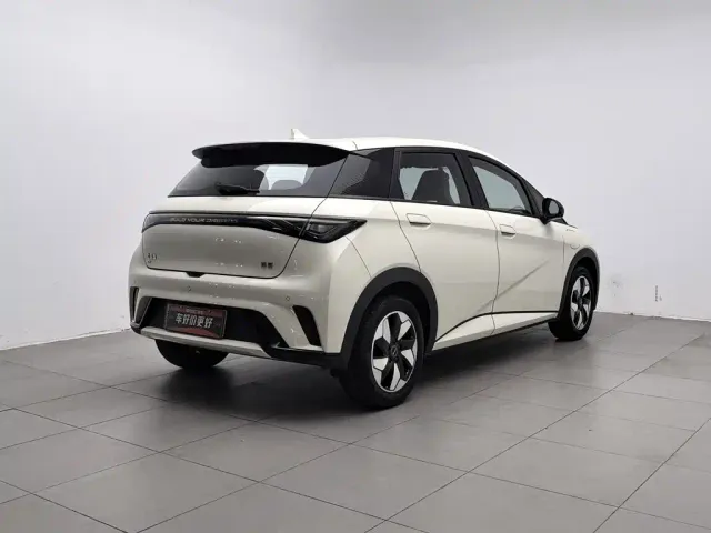 BYD Dolphin — Фото автомобиля 2