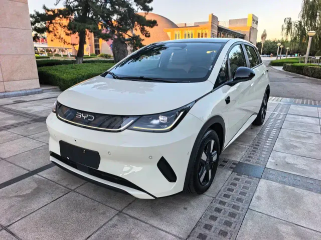 BYD Dolphin — Фото автомобиля 3