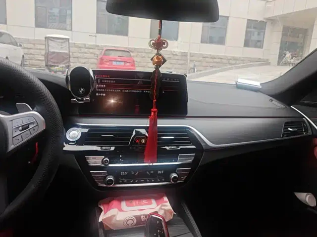 BMW 5 Series — Фото автомобиля 13