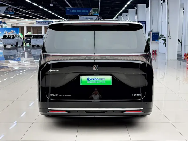 Buick Zhijing Shijia — Фото автомобиля 4