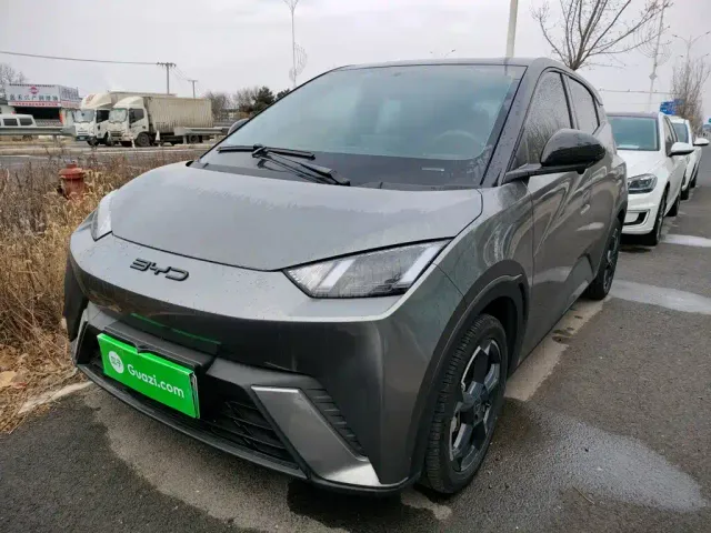 Фотография автомобиля — BYD Seagull
