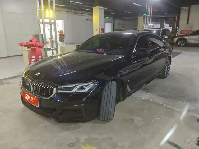 BMW 5 Series — Фото автомобиля 14