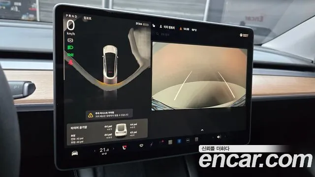 Tesla Model Y — Фото автомобиля 15