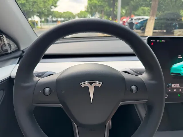 Tesla Model Y — Фото автомобиля 10