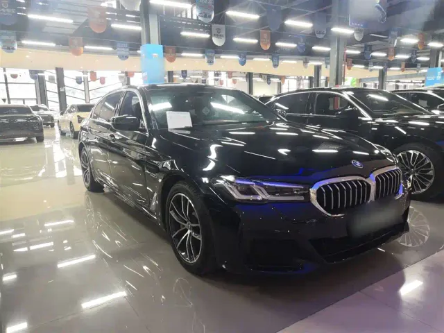 BMW 5 Series — Фото автомобиля 4