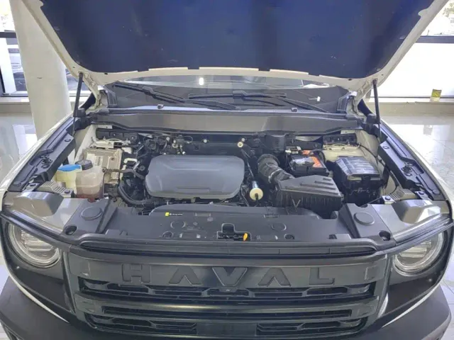 Haval Big Dog — Фото автомобиля 19