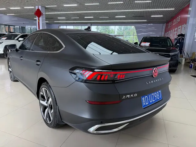 Volkswagen Lamando — Фото автомобиля 15