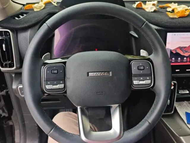 Haval Big Dog — Фото автомобиля 15
