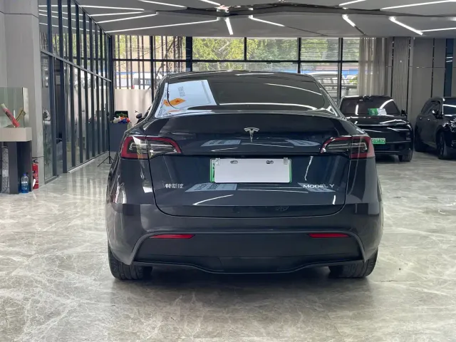 Tesla Model Y — Фото автомобиля 6