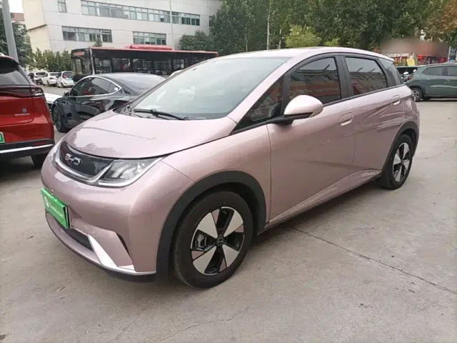 Фотография автомобиля — BYD Dolphin