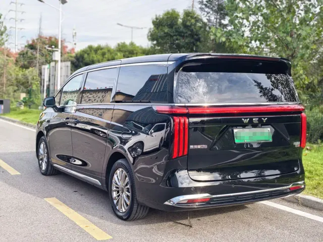 Wey Alpine — Фото автомобиля 15
