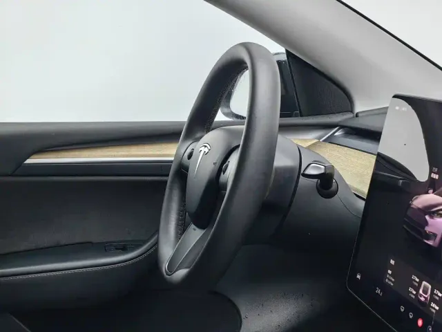 Tesla Model Y — Фото автомобиля 22