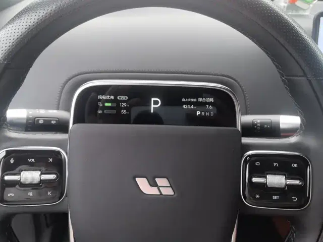 Li Auto L9 — Фото автомобиля 14