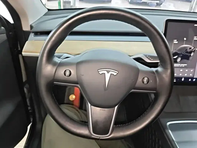 Tesla Model Y — Фото автомобиля 10